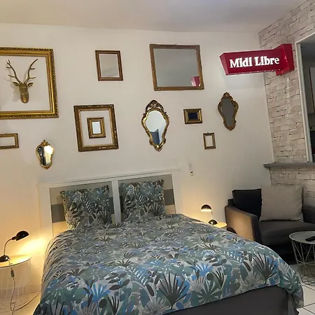 Triangle Arêne Gare Maison Carrée Placette Apartamento Nîmes