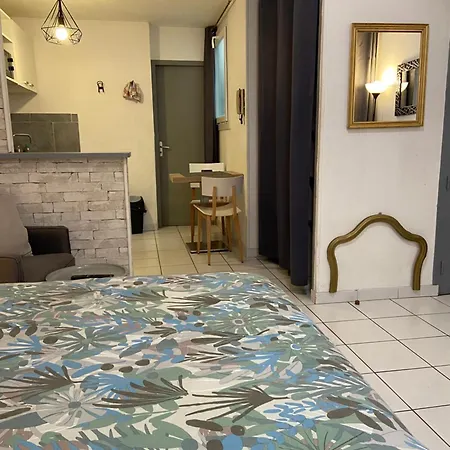 Triangle Arene Gare Maison Carree Placette 公寓 *